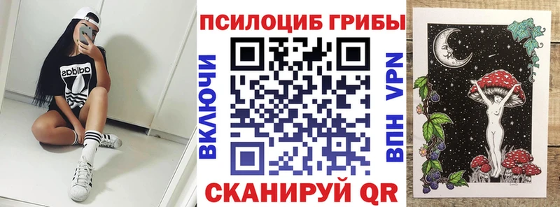 Псилоцибиновые грибы GOLDEN TEACHER  цена наркотик  Шебекино 